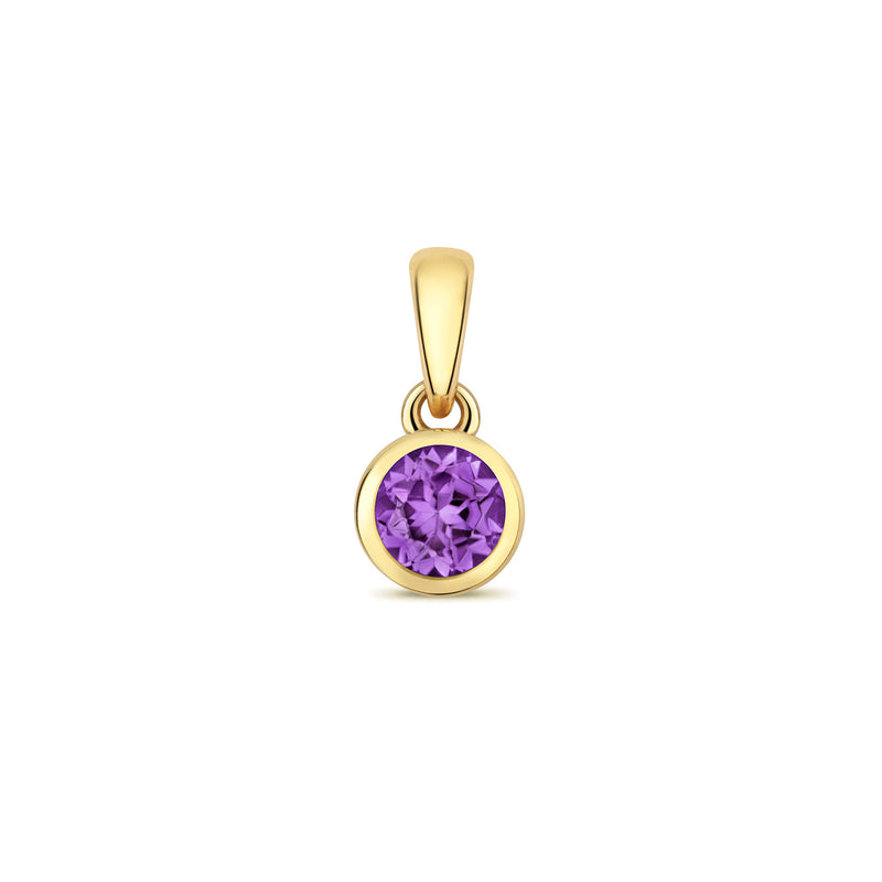 Gold Amethyst Round Pendant Necklace