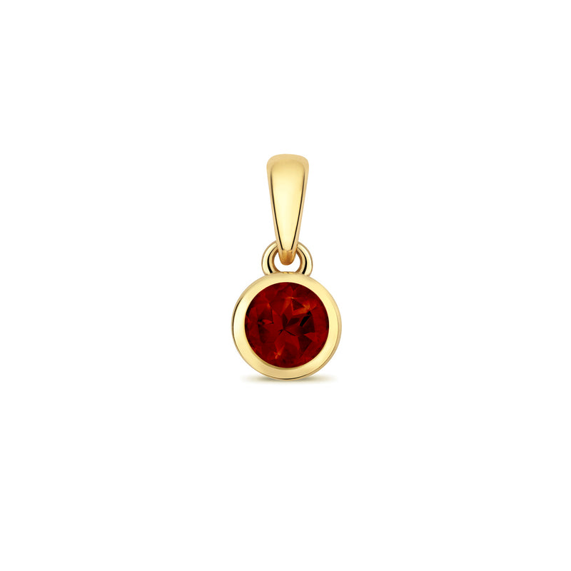 Gold Garnet Round Pendant Necklace